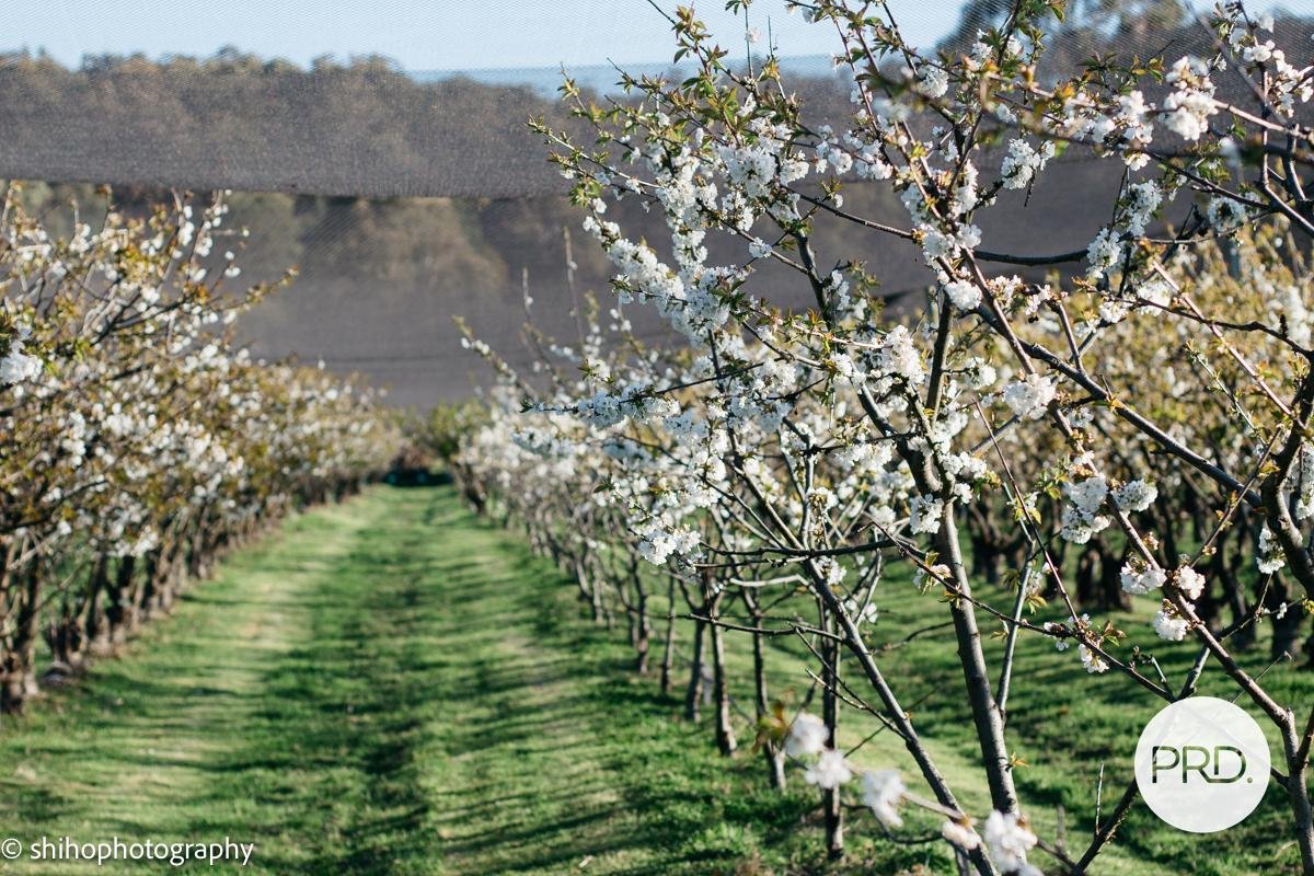 188 Hydehurst Road LACHLAN 7