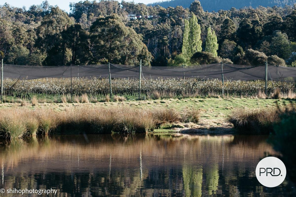 188 Hydehurst Road LACHLAN 8