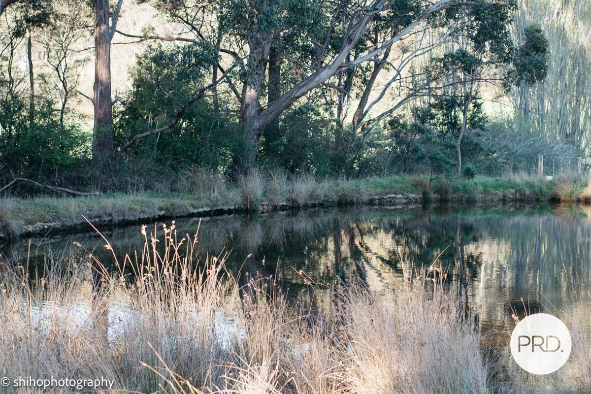 188 Hydehurst Road LACHLAN 9