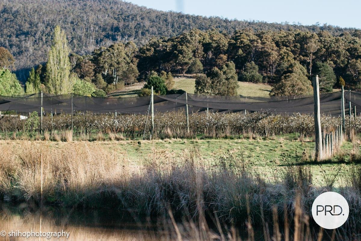 188 Hydehurst Road LACHLAN 10