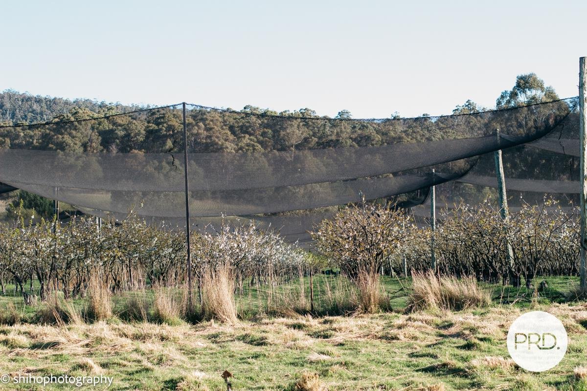 188 Hydehurst Road LACHLAN 11