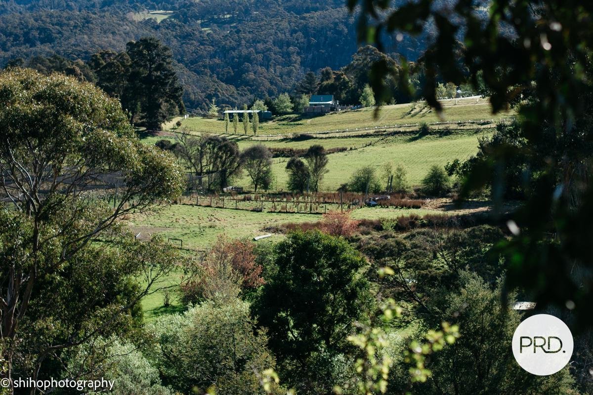 188 Hydehurst Road LACHLAN 14