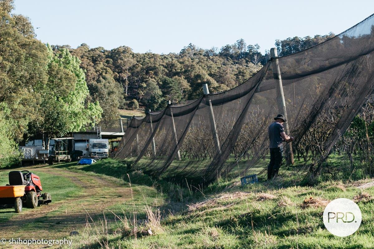 188 Hydehurst Road LACHLAN 15