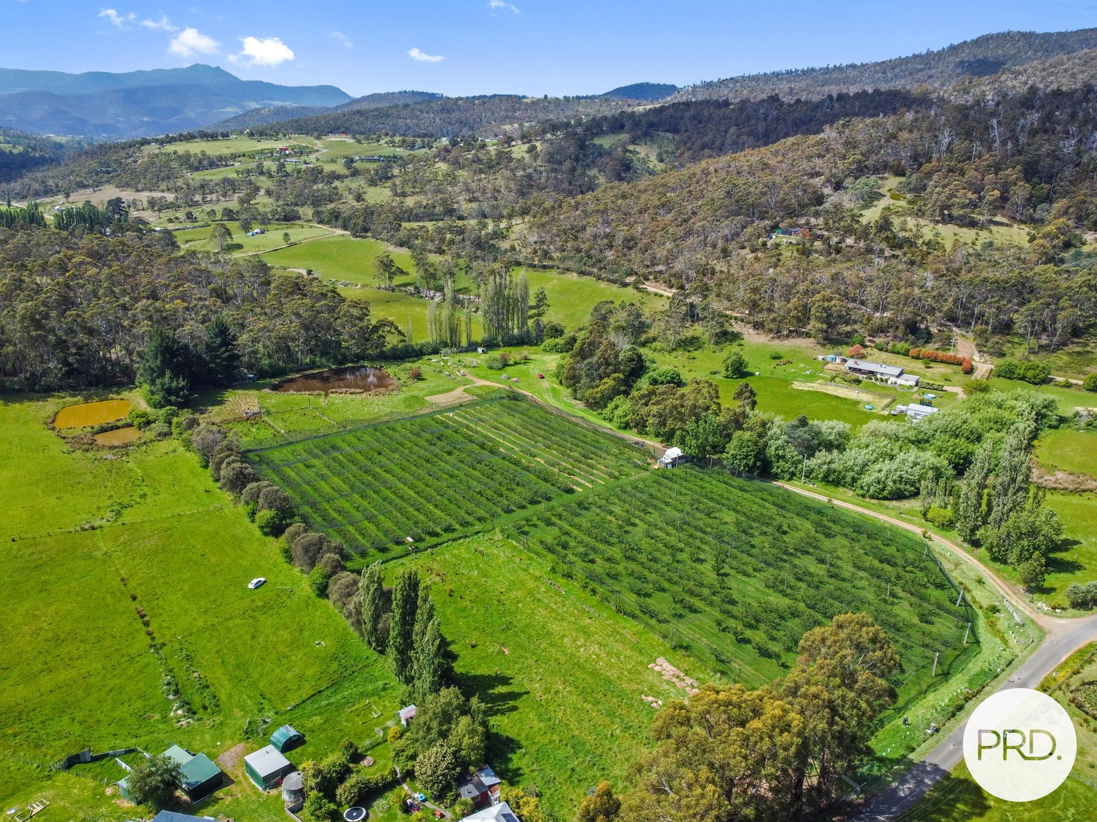 188 Hydehurst Road LACHLAN 18