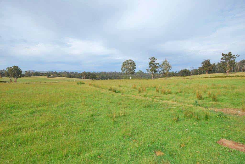 1889 Victoria Valley Road OSTERLEY 4