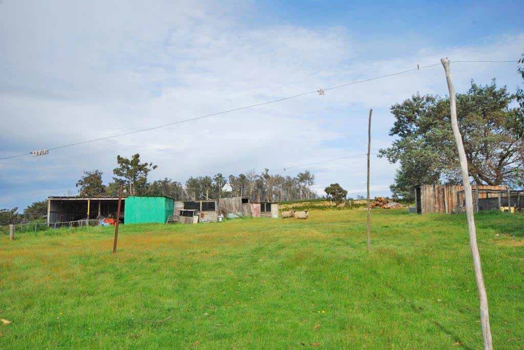 1889 Victoria Valley Road OSTERLEY 11