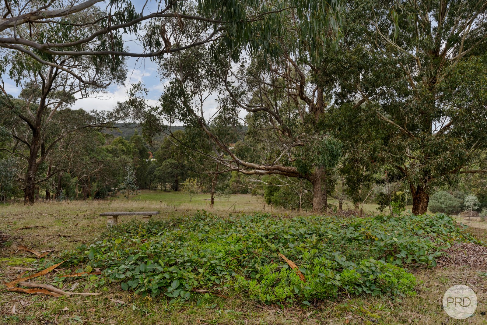 189 Alkera Road INVERMAY 17