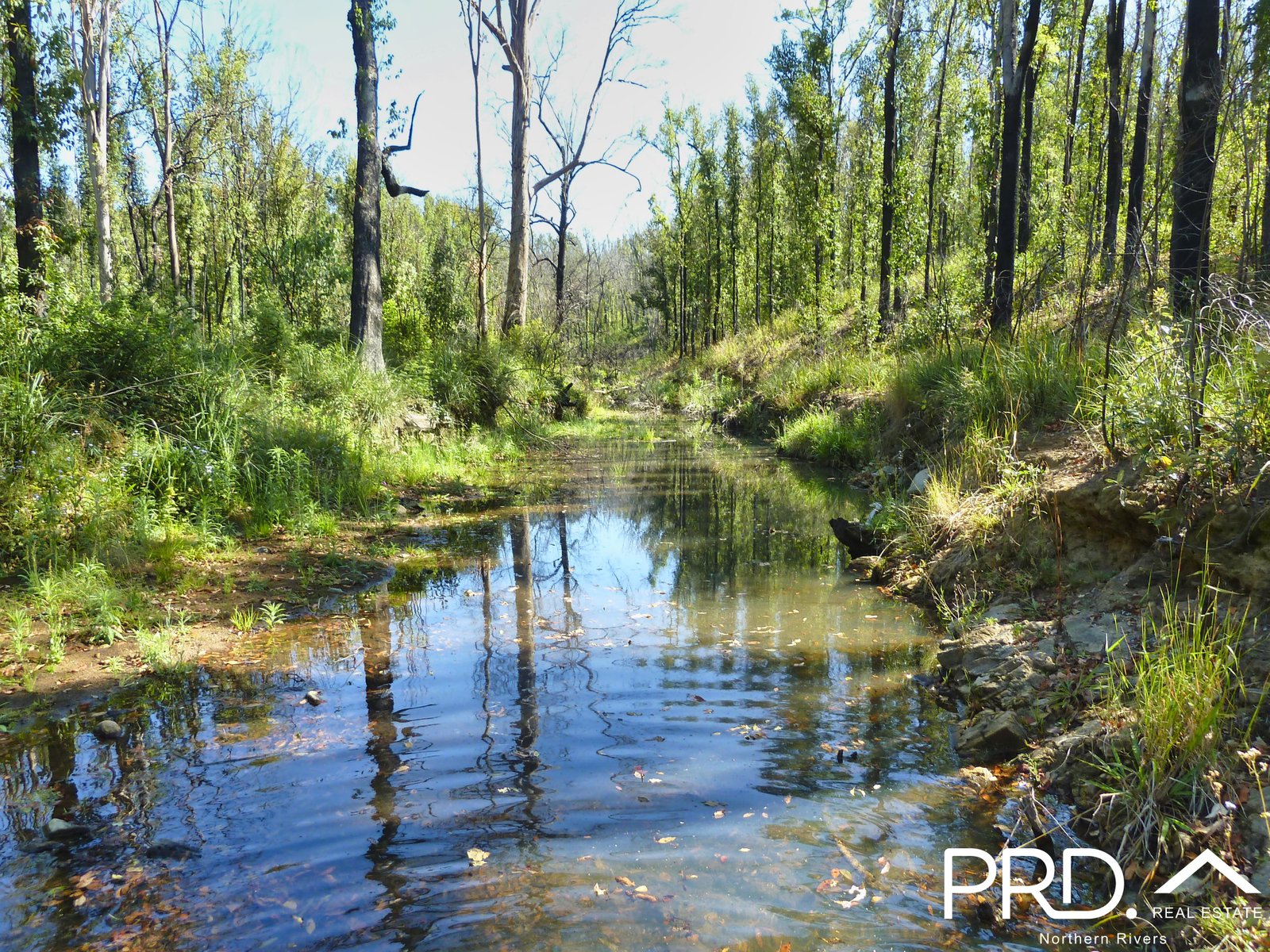 189 Hunters Road EWINGAR 7