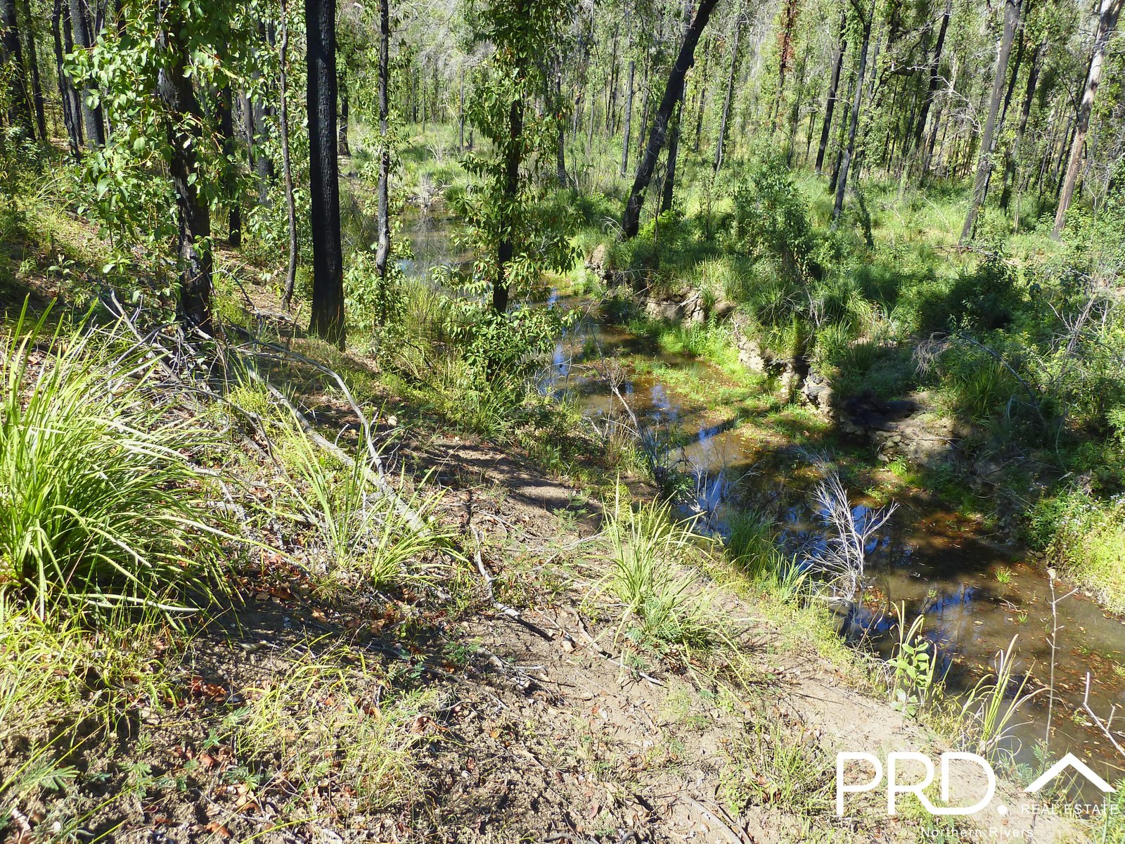 189 Hunters Road EWINGAR 10