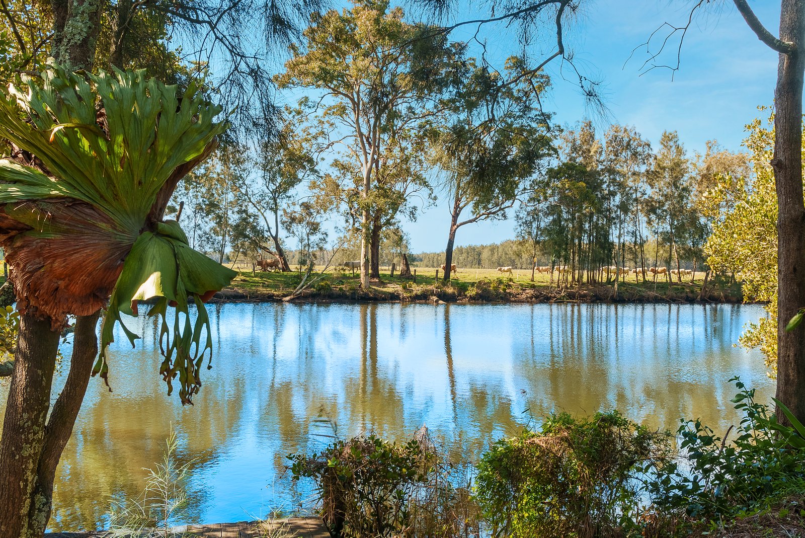 189 Wharf Road JOHNS RIVER 14