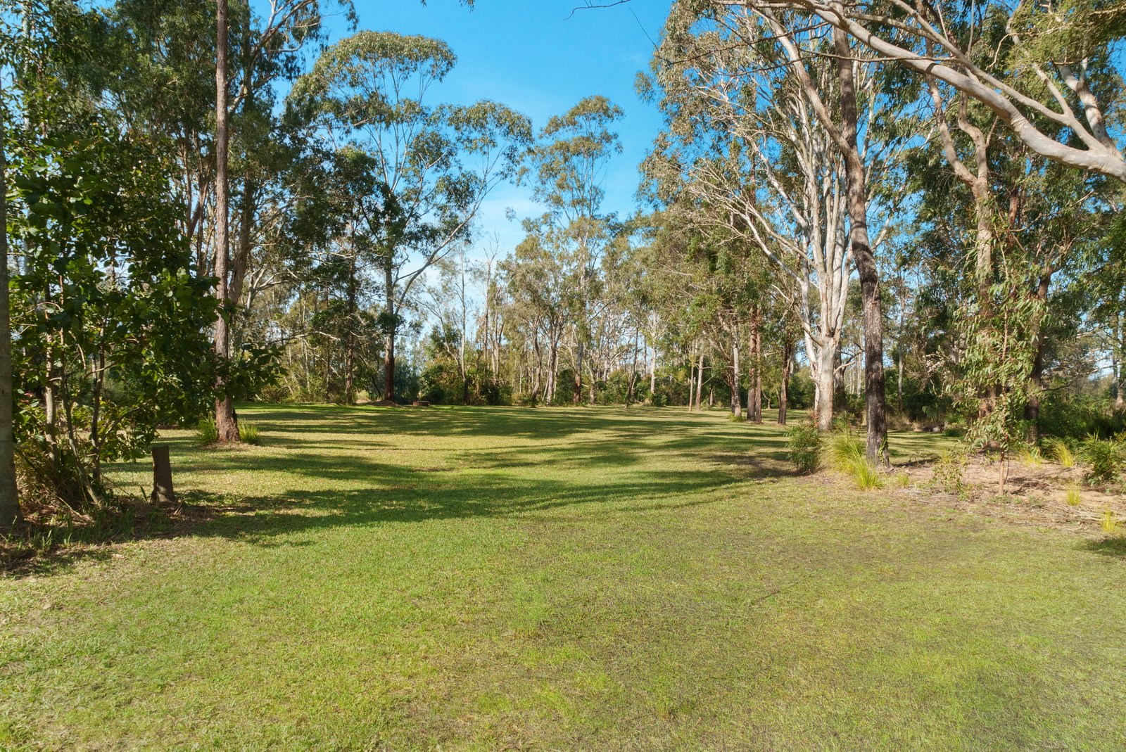 189 Wharf Road JOHNS RIVER 16