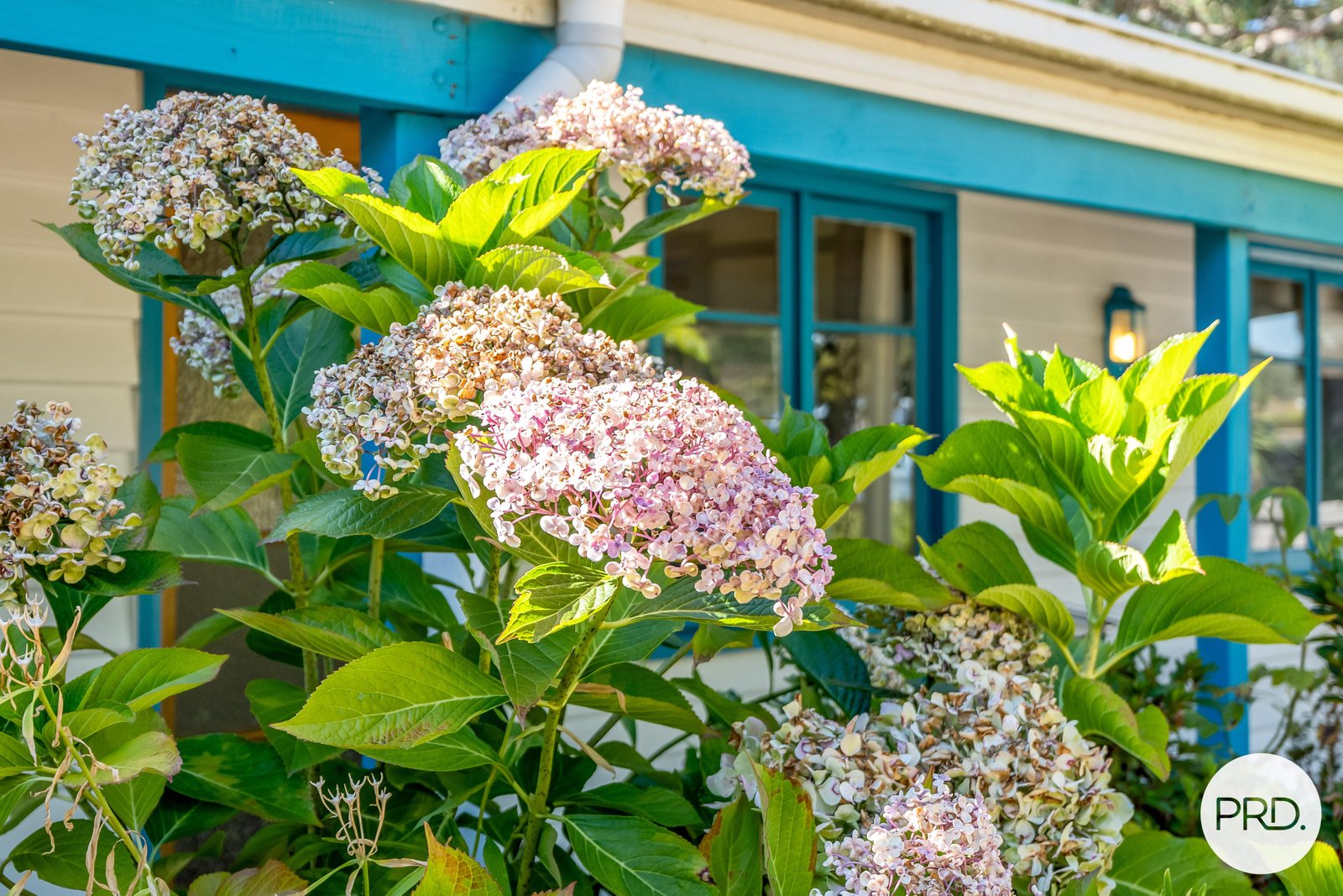 1895 Channel Highway MARGATE 3