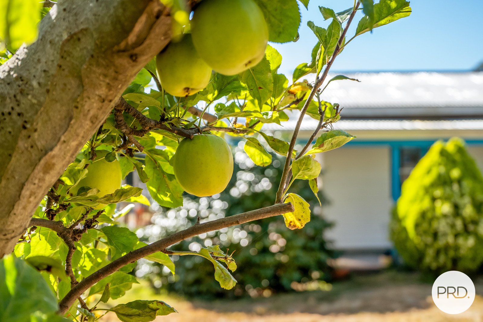 1895 Channel Highway MARGATE 8