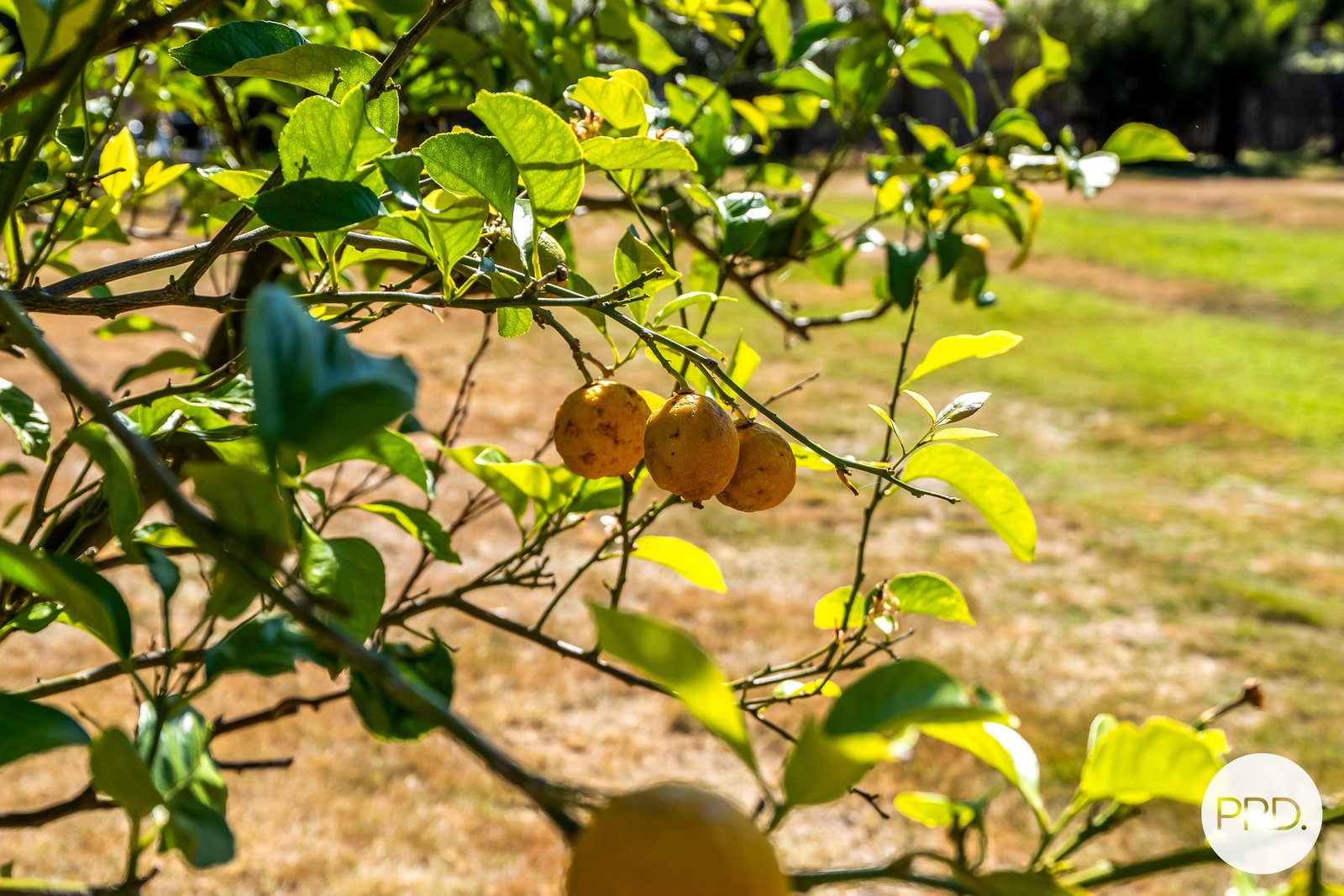 1895 Channel Highway MARGATE 25