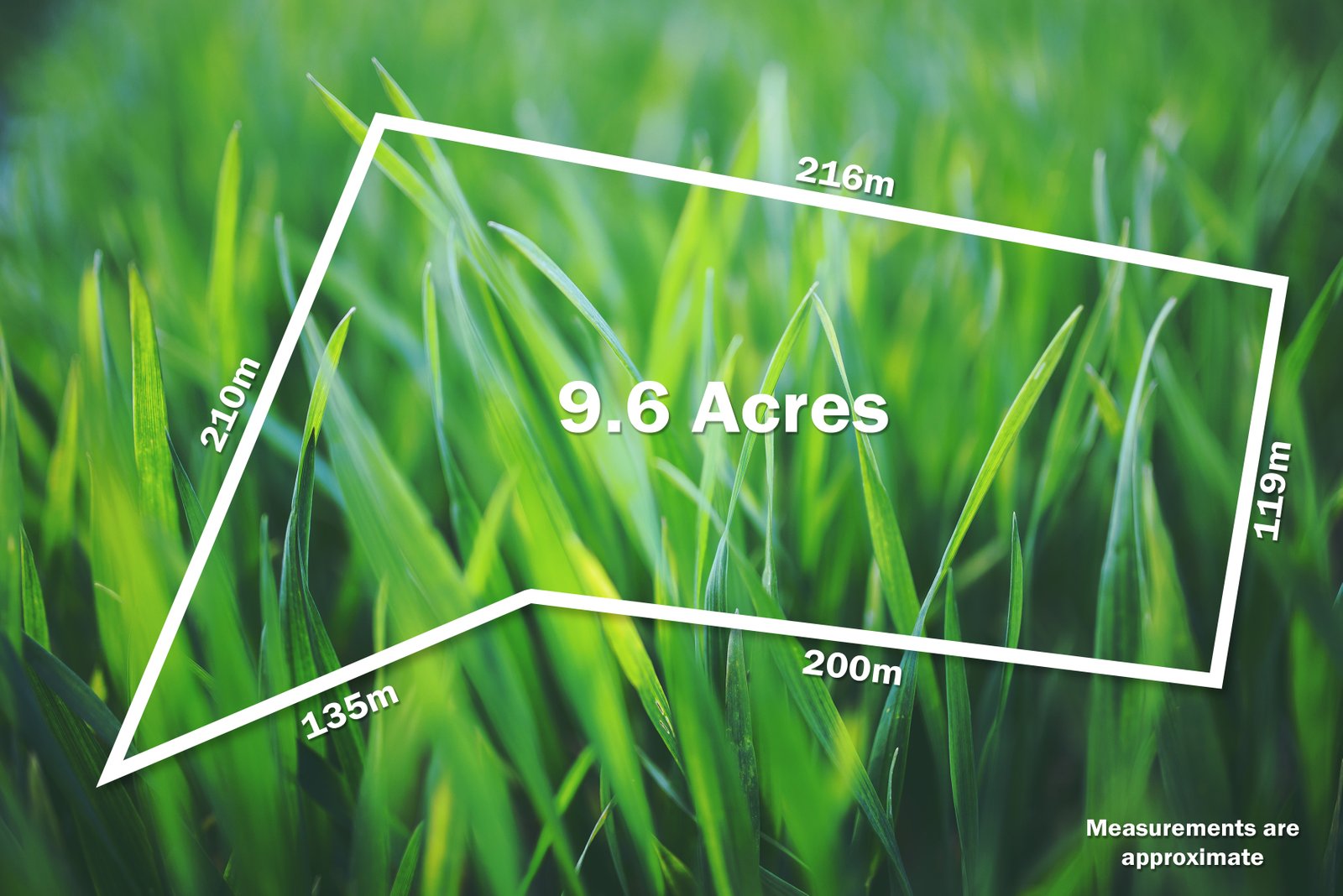 18A Hewitts Road LINTON 6