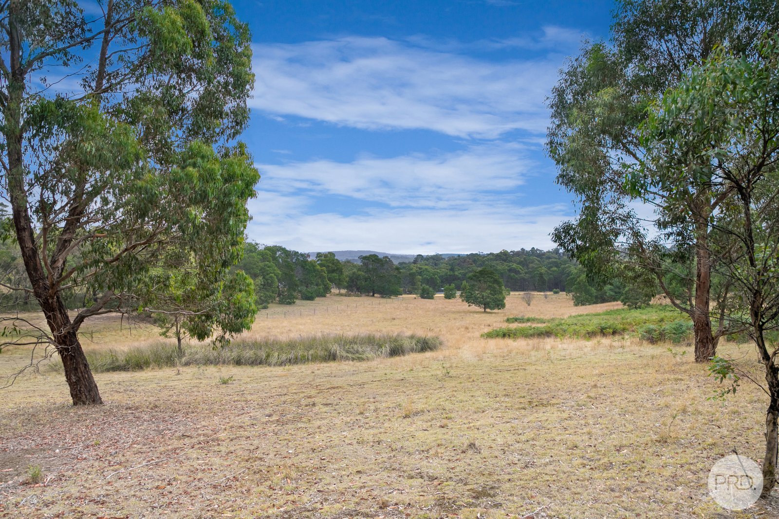 18A Hewitts Road LINTON 10