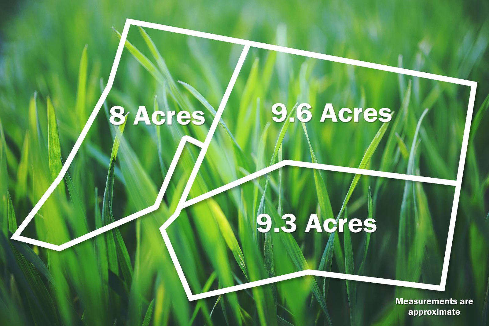 18A Hewitts Road LINTON 12