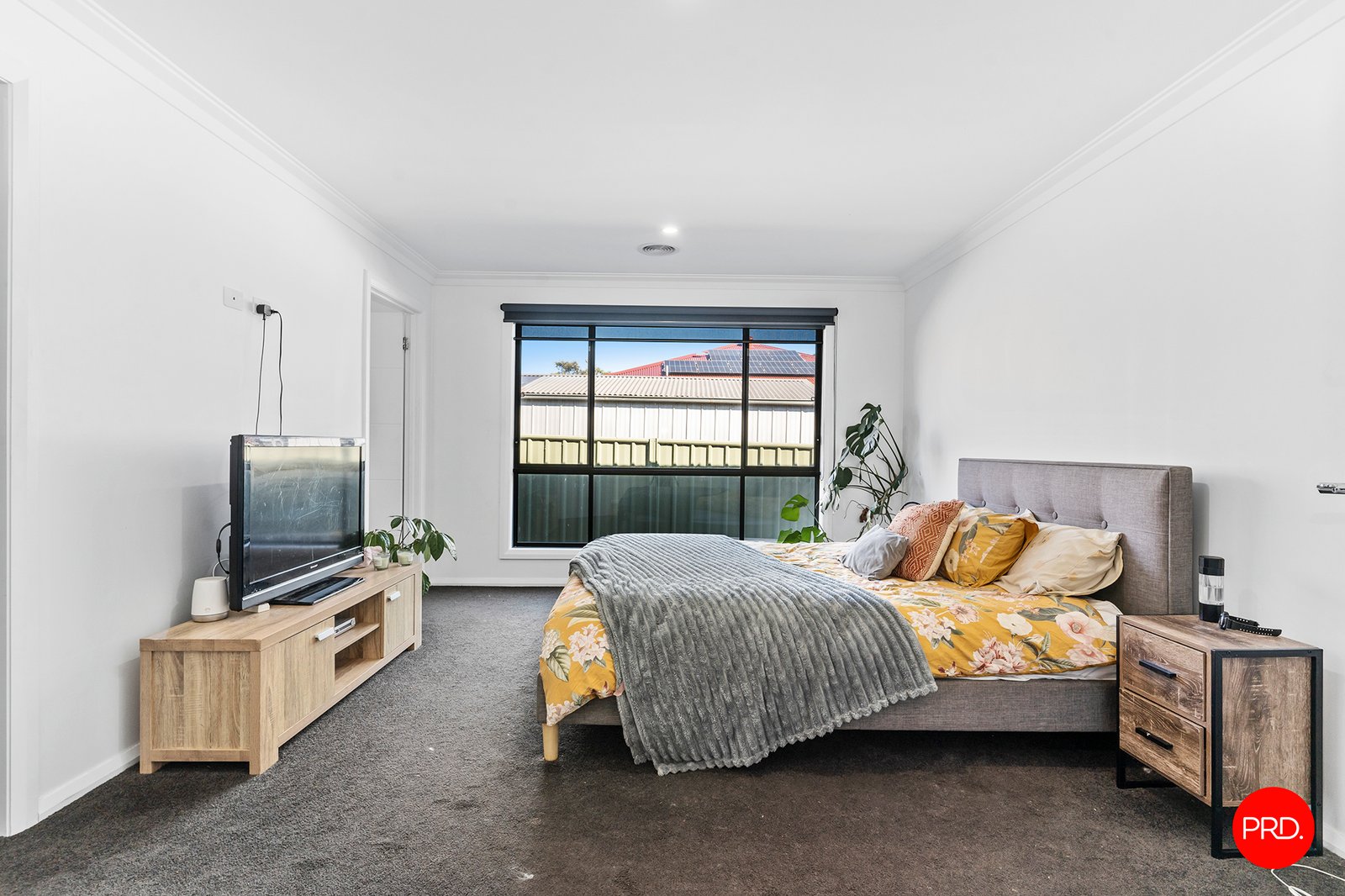 18A Pearce Street CALIFORNIA GULLY 8