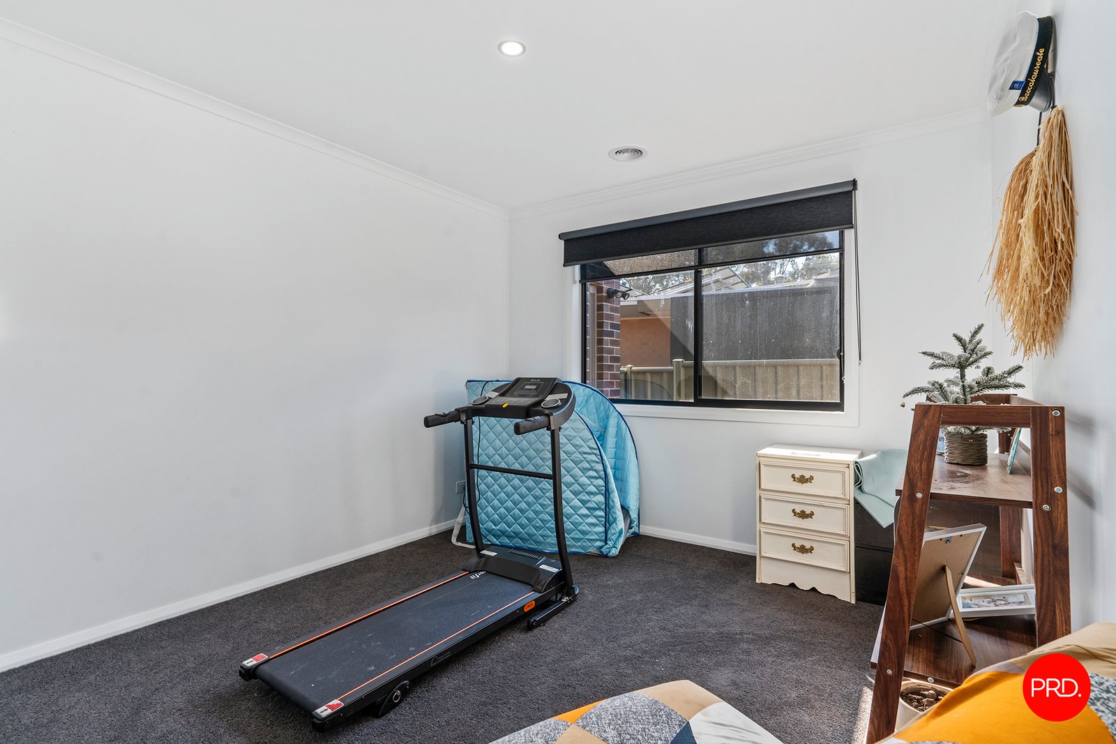 18A Pearce Street CALIFORNIA GULLY 12