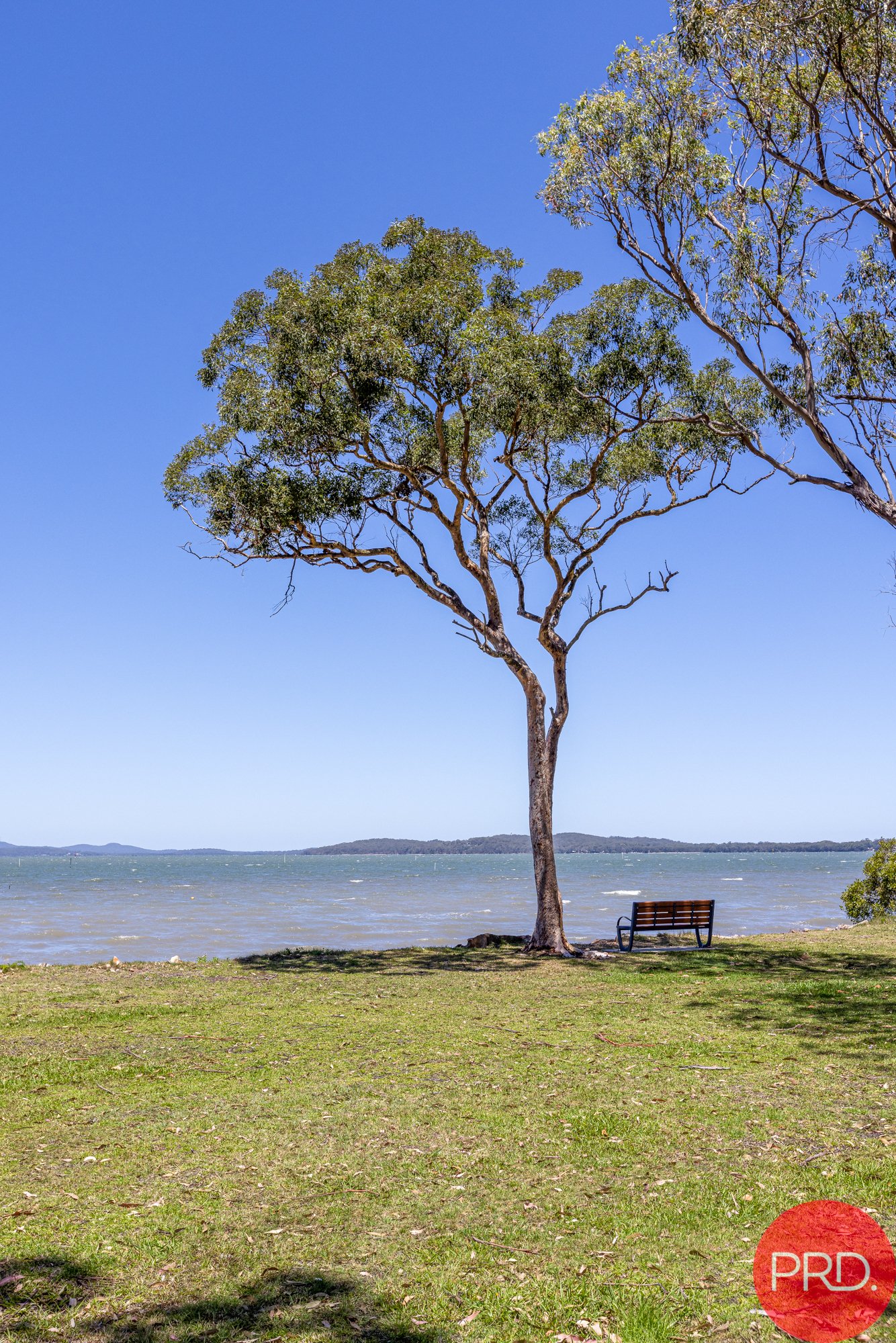 19 & 19A Waterfront Road, SWAN BAY NSW 2324