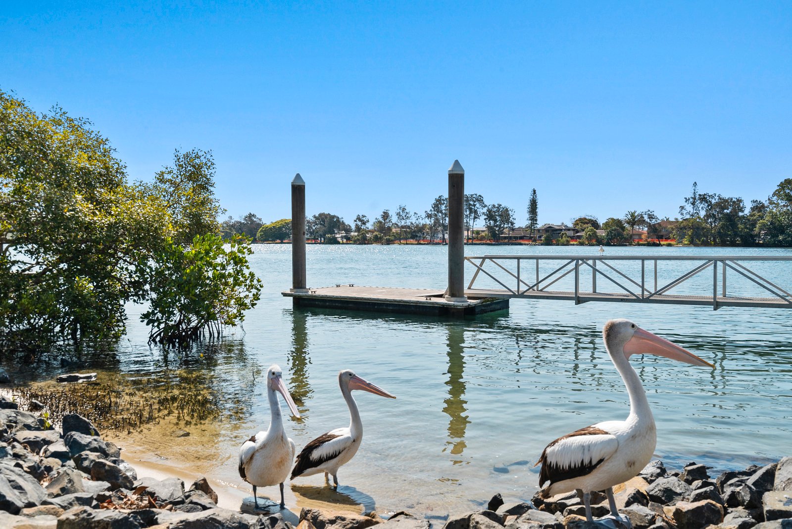19 Acacia Street TWEED HEADS SOUTH 12