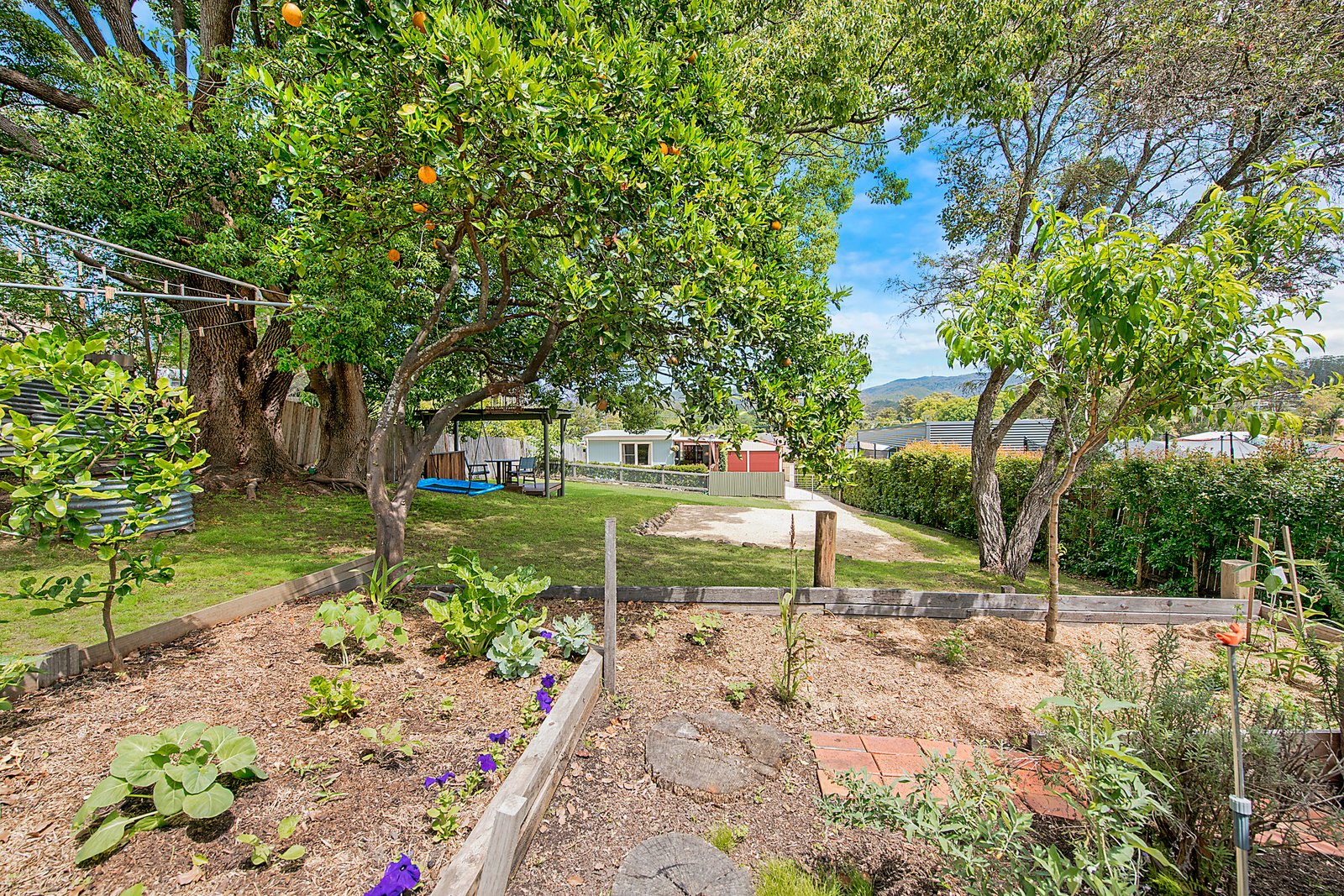 19 Albert Street KENDALL 11