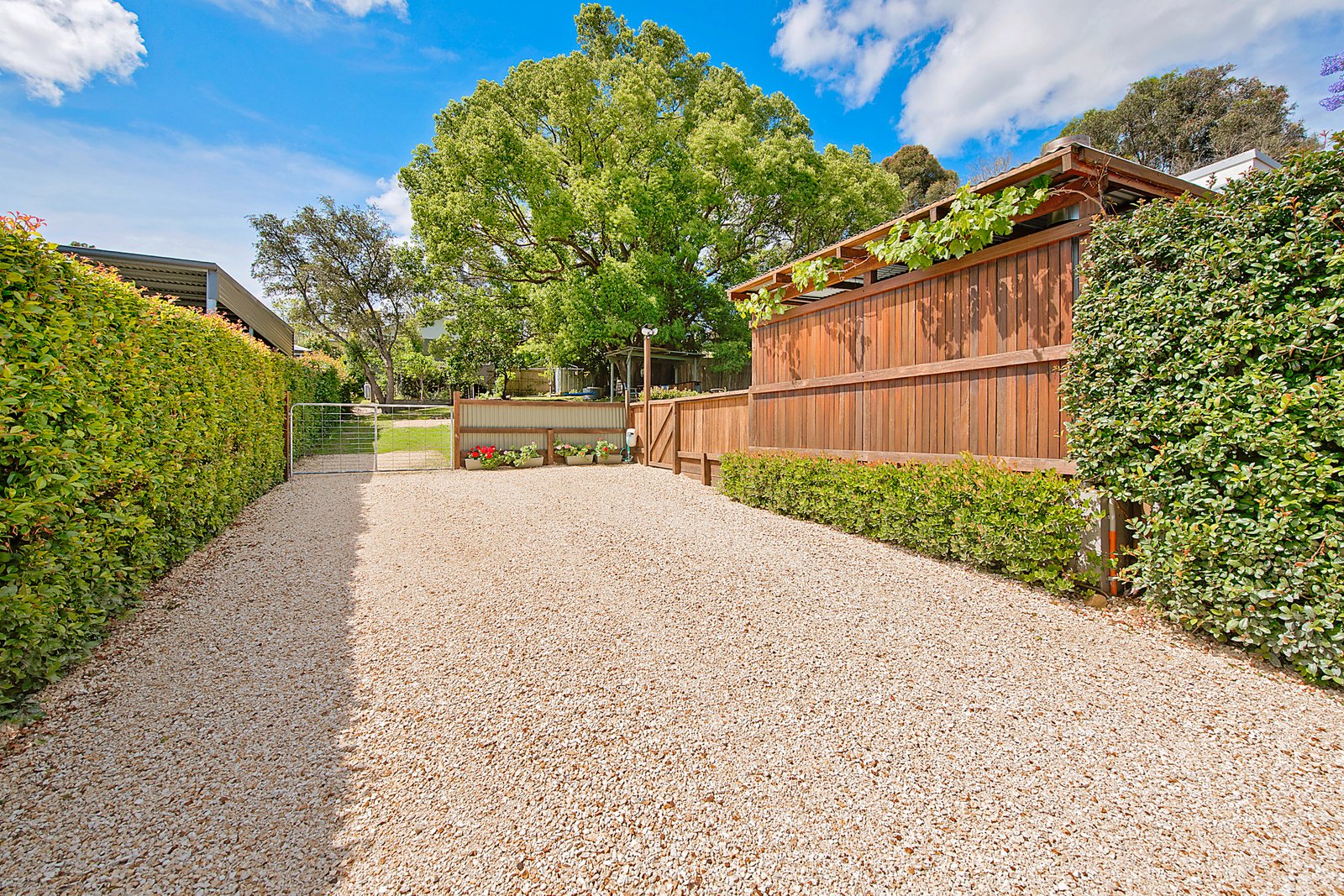 19 Albert Street KENDALL 19