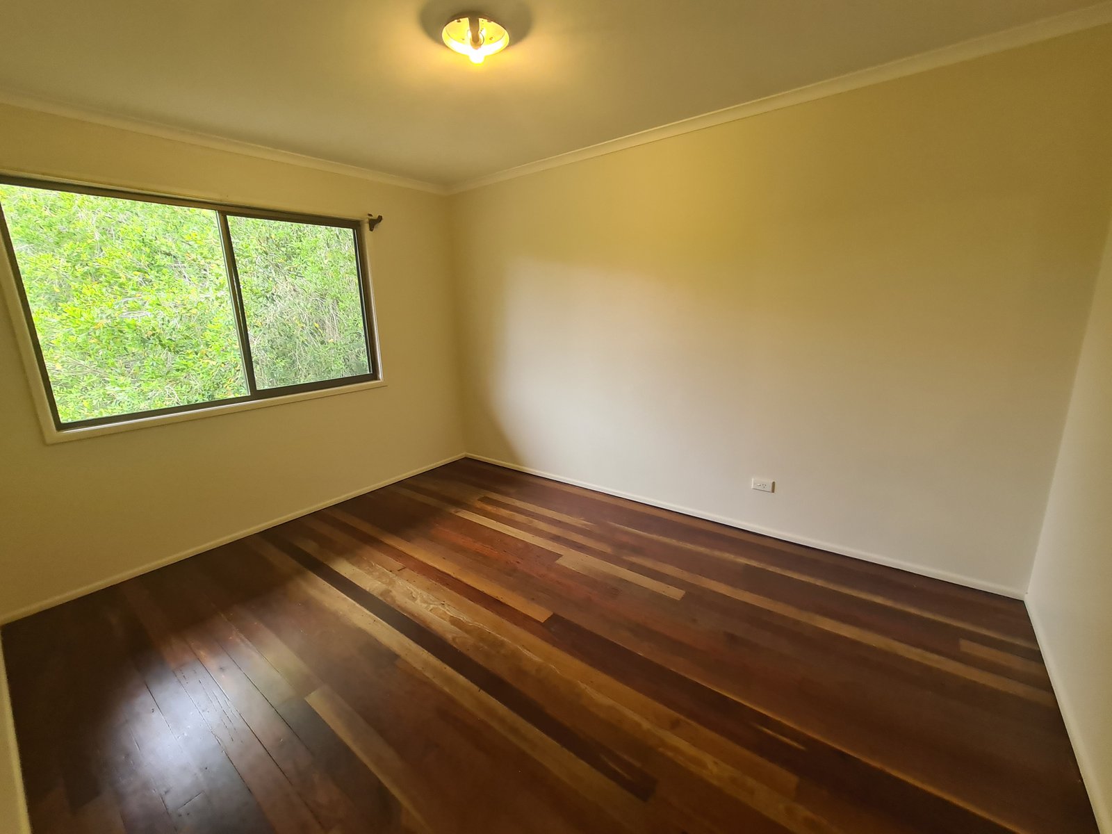 19 ALFRED Street TANNUM SANDS 5