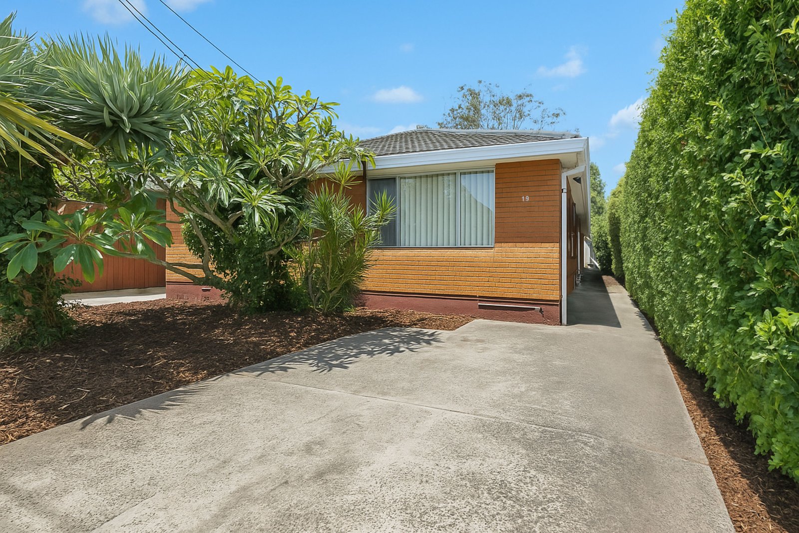 19 Alma Road MAROUBRA 12