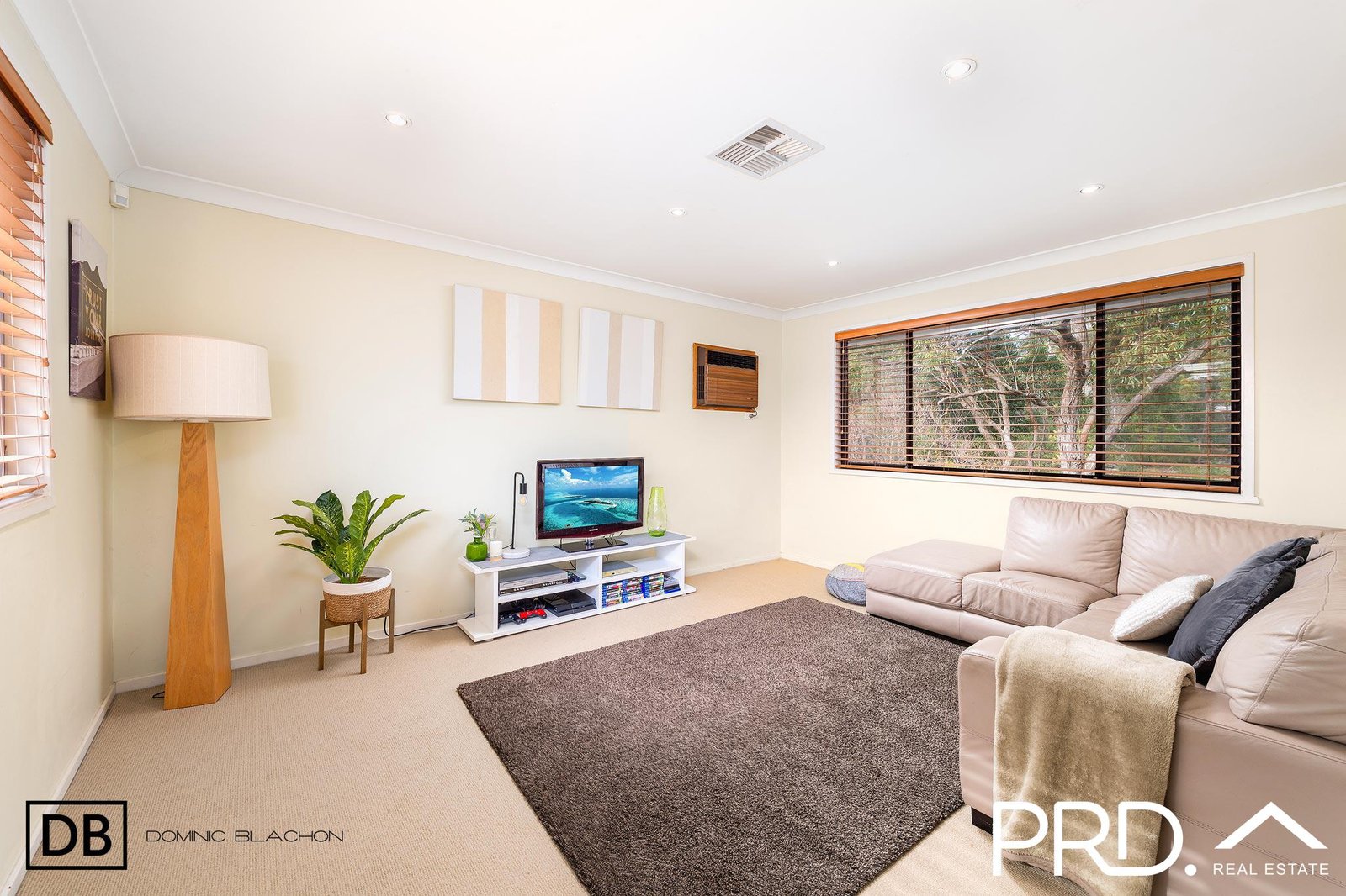 19 Amberdale Avenue PICNIC POINT 8