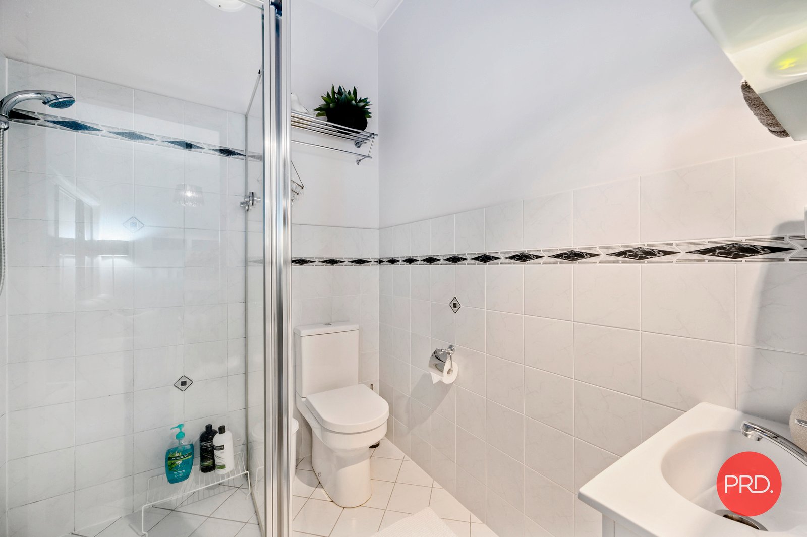 19 Anniversary Place COFFS HARBOUR 31