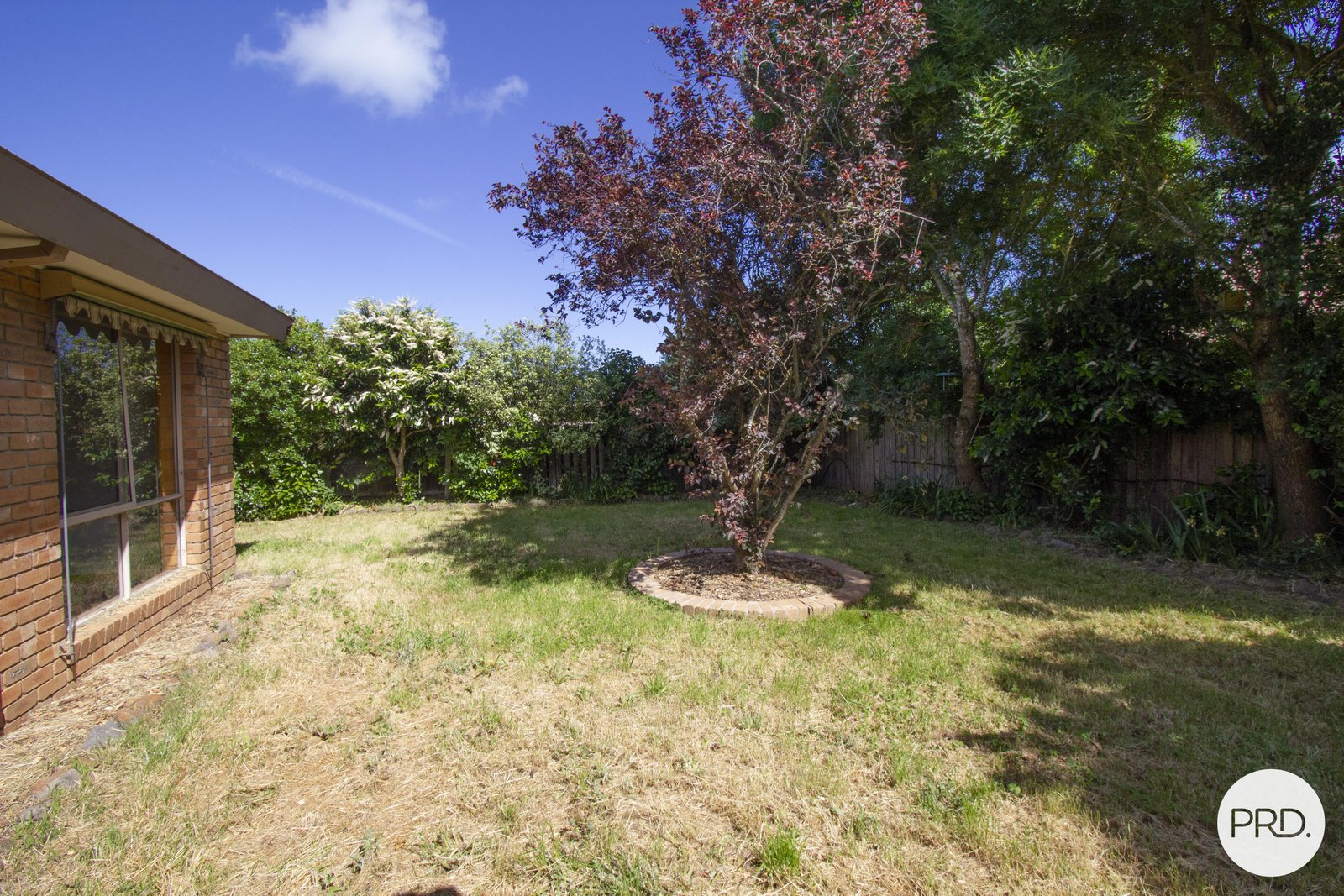 19 Arrandale Avenue ALFREDTON 19