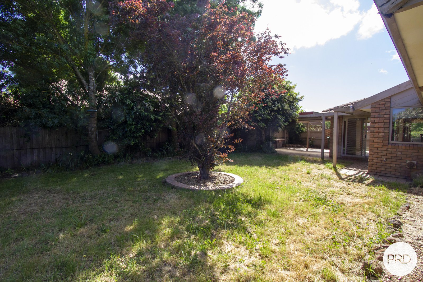 19 Arrandale Avenue ALFREDTON 21