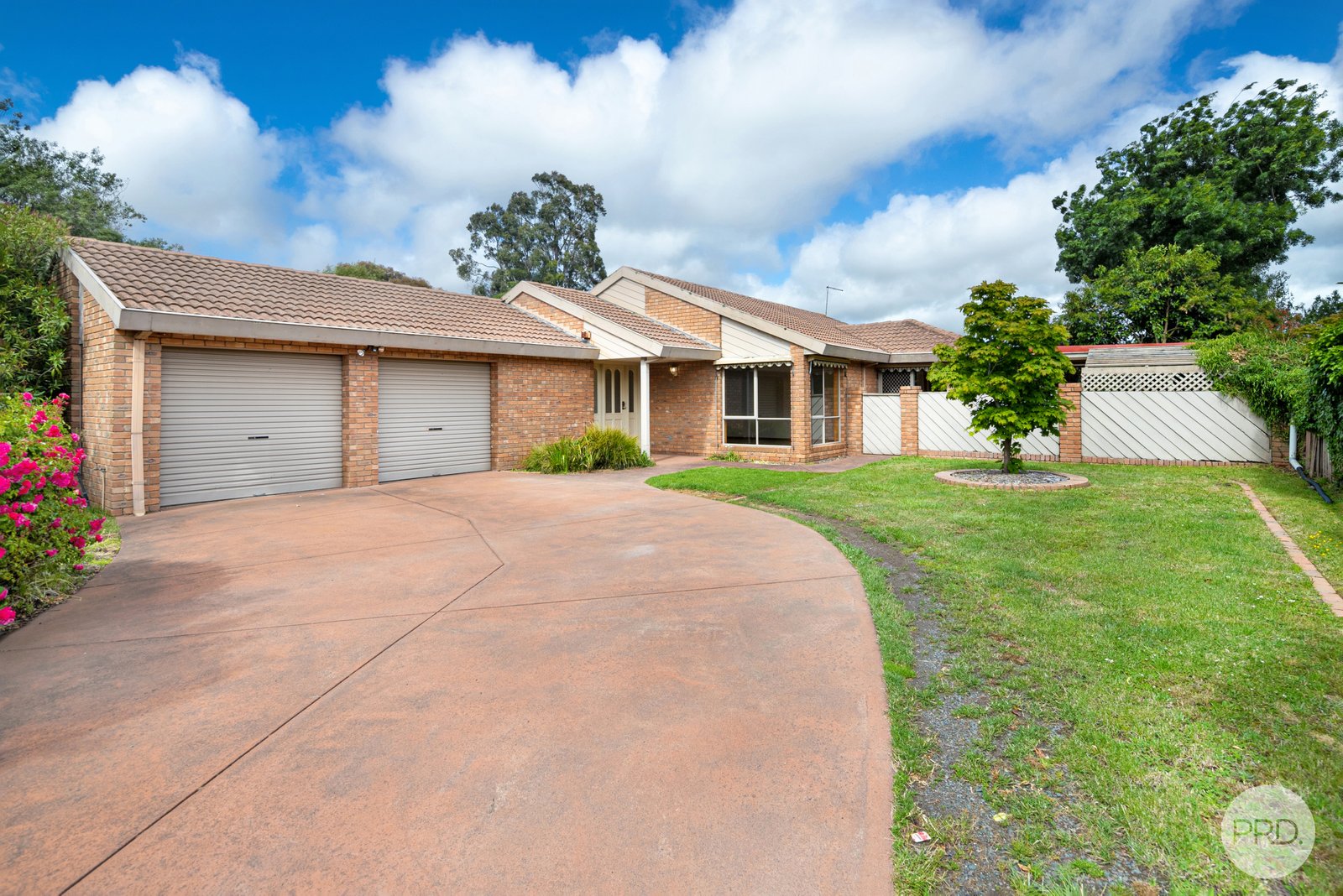 19 Arrandale Avenue ALFREDTON 1