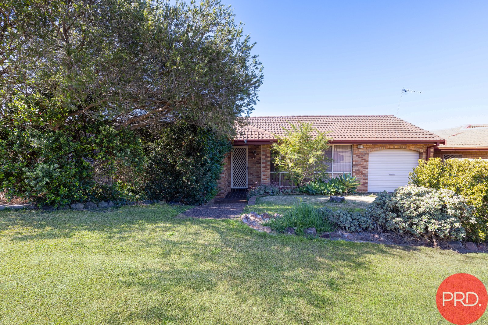 19 Avery Street RUTHERFORD 22