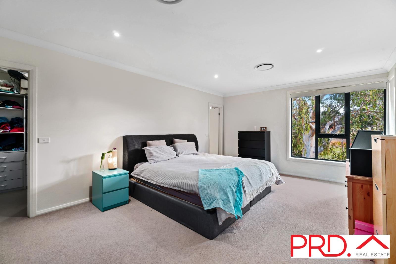 19 Bardo Circuit REVESBY HEIGHTS 7