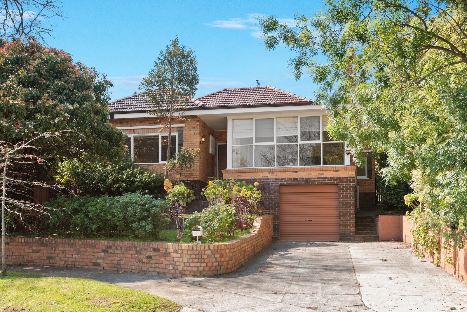 19 Barkly Street, Camberwell, 3124