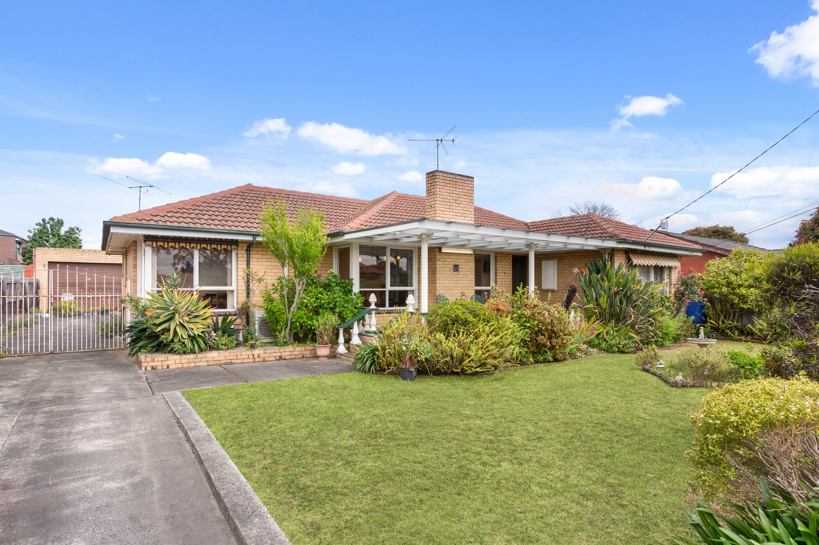 Gallery: 19 Browning Avenue