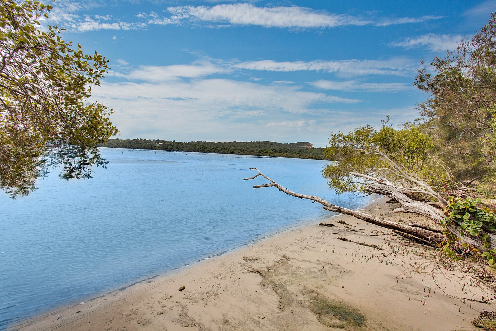 19 Camden Head Road DUNBOGAN 15