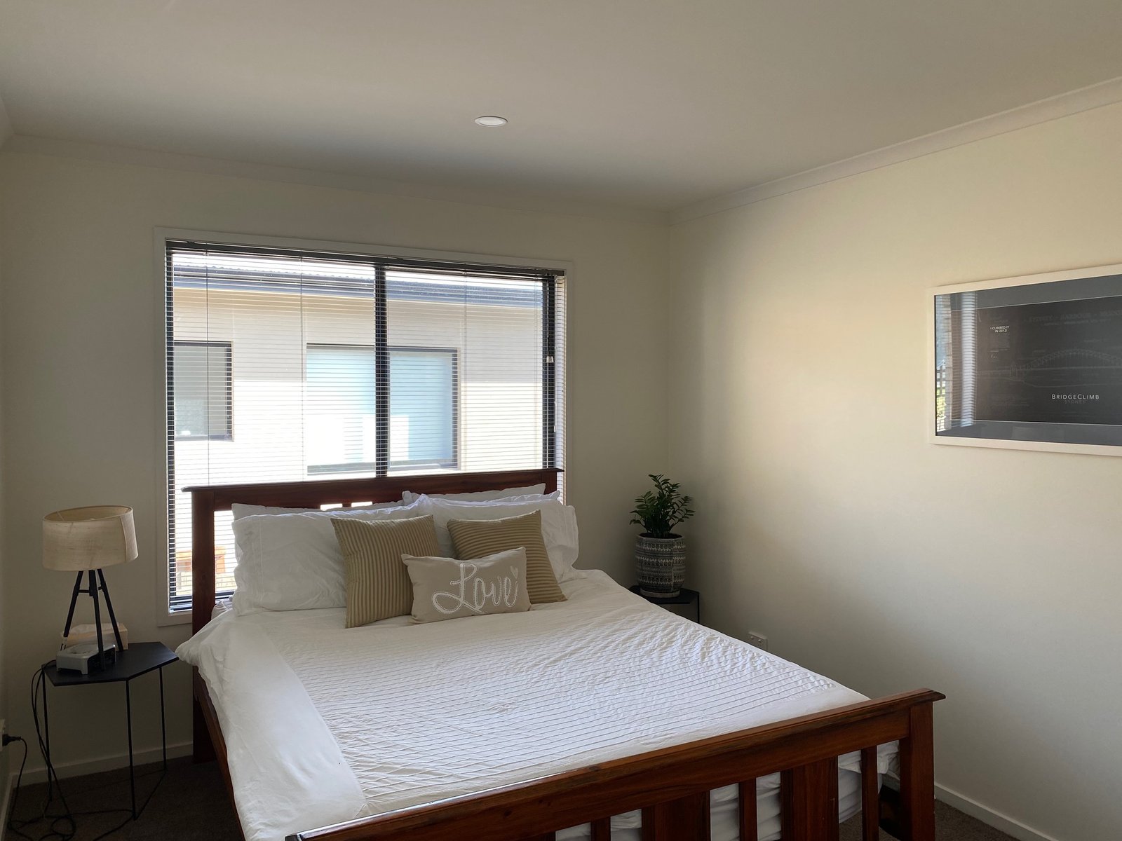 19 Carbeen Street MORNINGTON 9