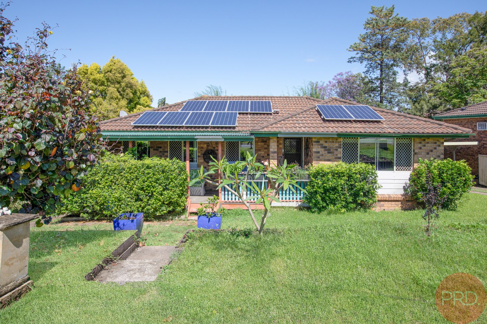 19 Carr Street RUTHERFORD 2