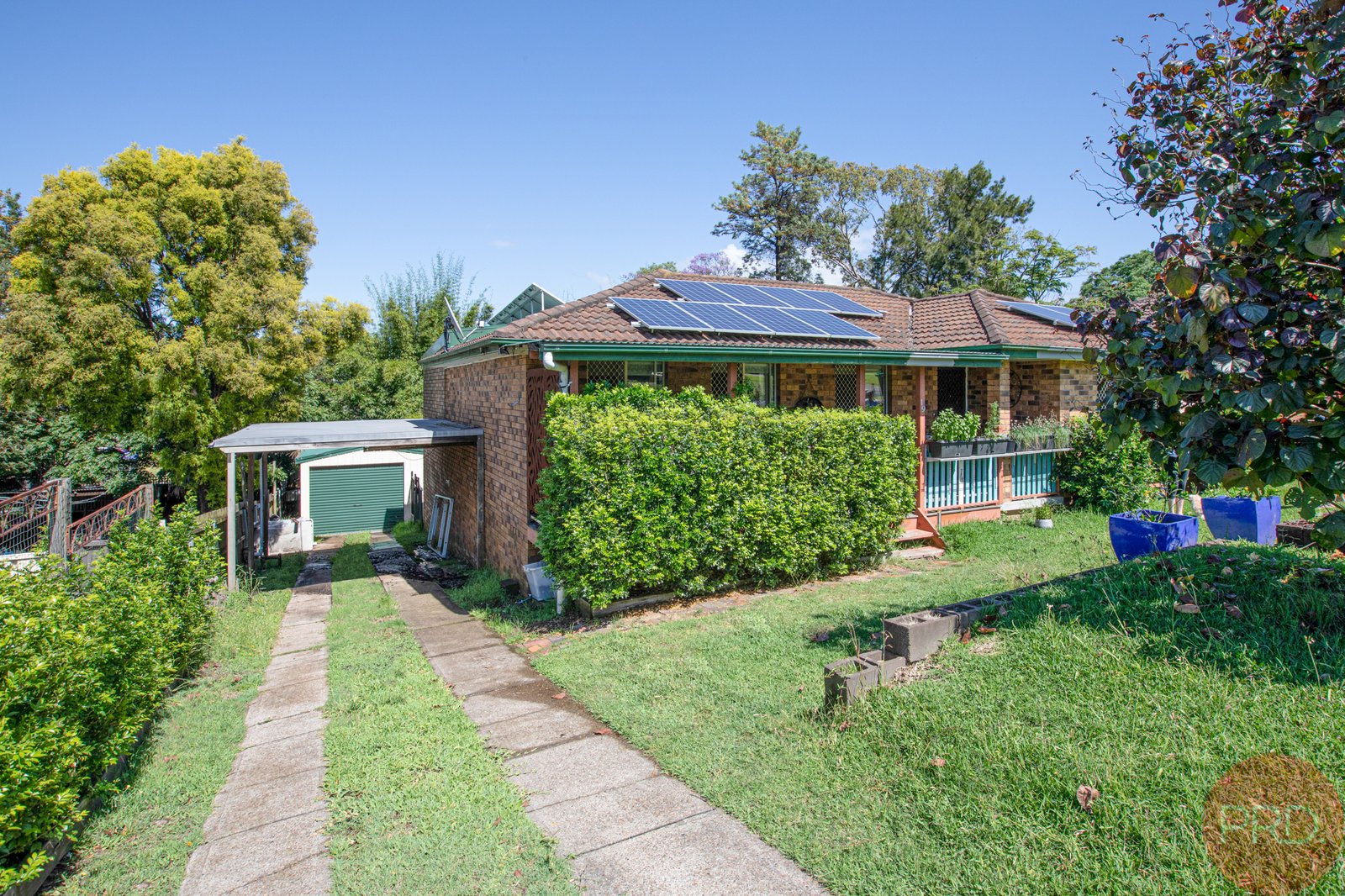 19 Carr Street RUTHERFORD 3