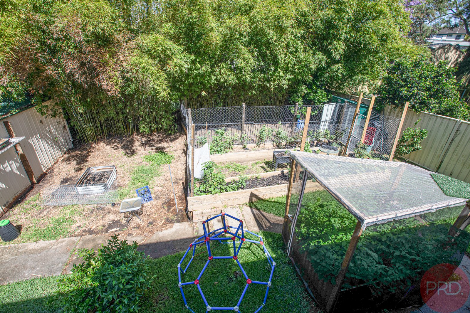 19 Carr Street RUTHERFORD 17