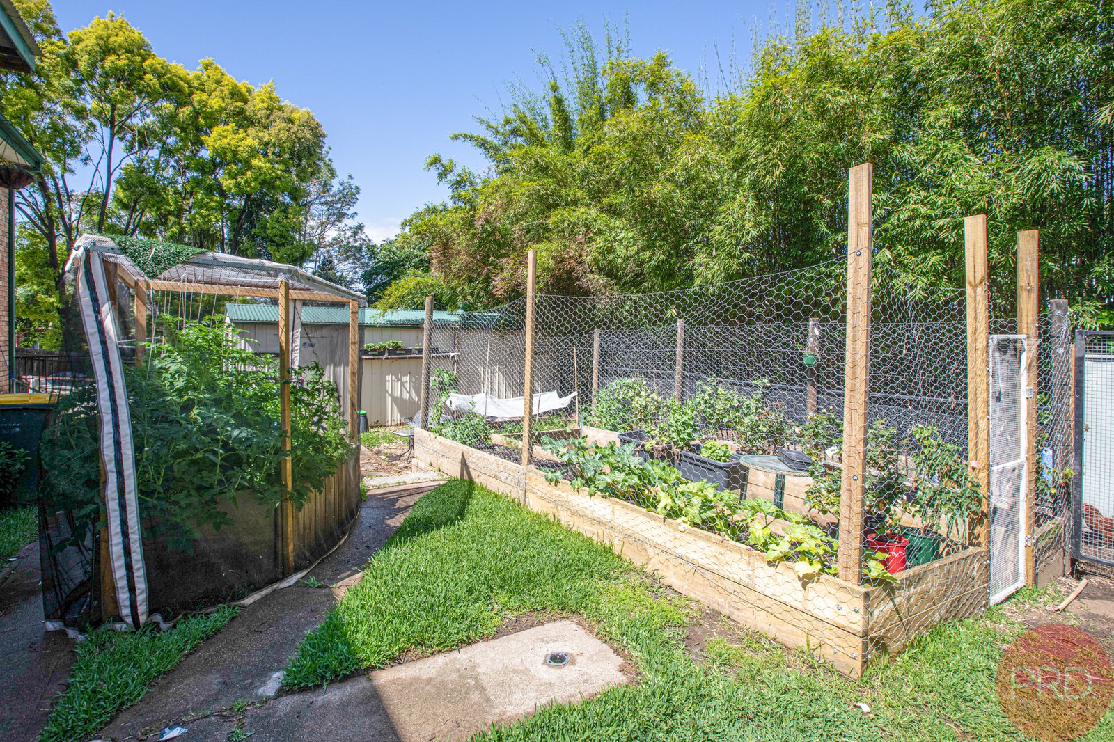 19 Carr Street RUTHERFORD 18