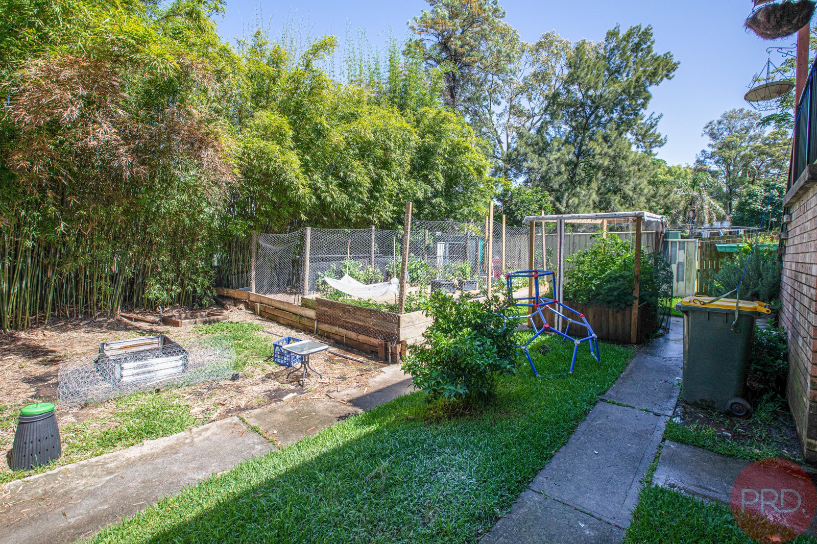 19 Carr Street RUTHERFORD 19