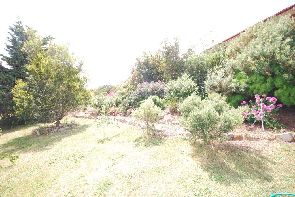 19 Carter Court NEW NORFOLK 10