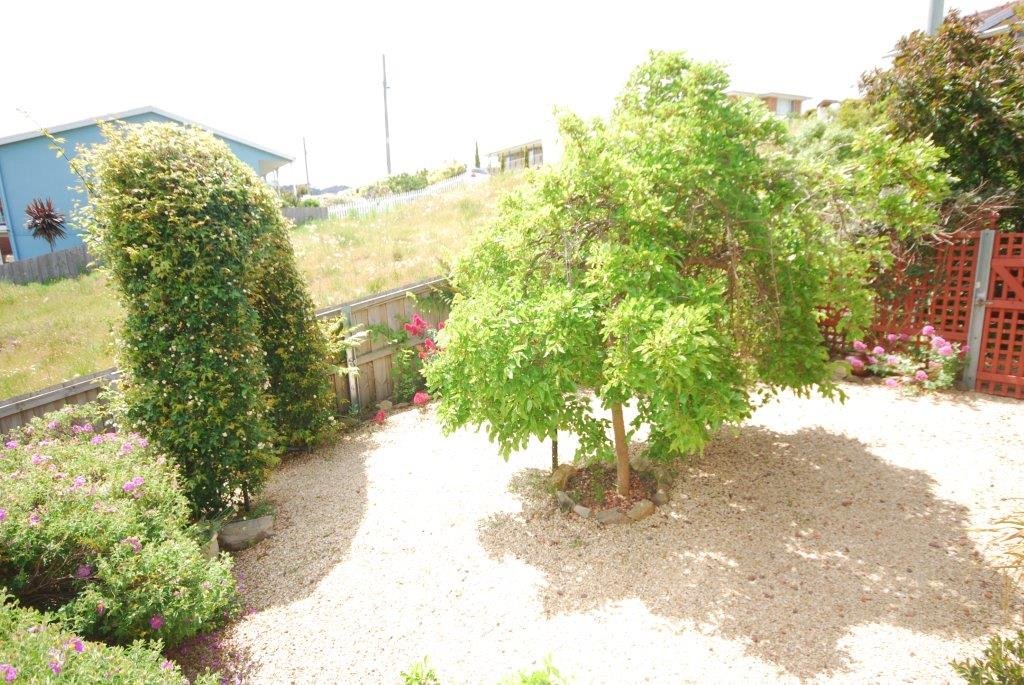 19 Carter Court NEW NORFOLK 12