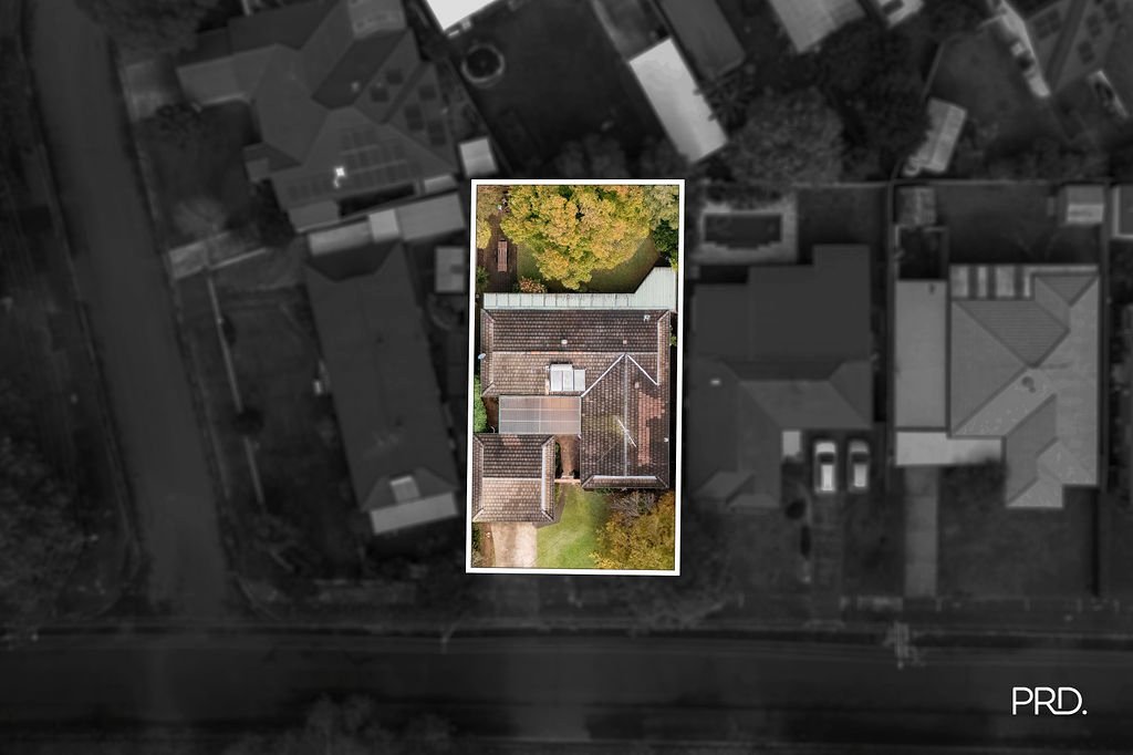 19 Cary Street EMU PLAINS 21