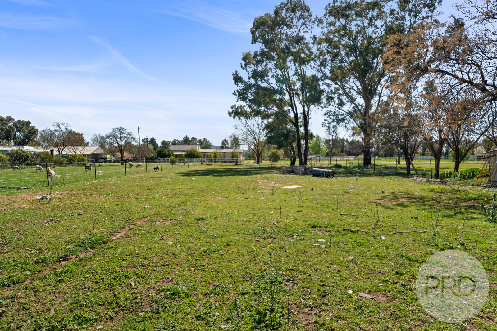 19 Cole Street YERONG CREEK 2