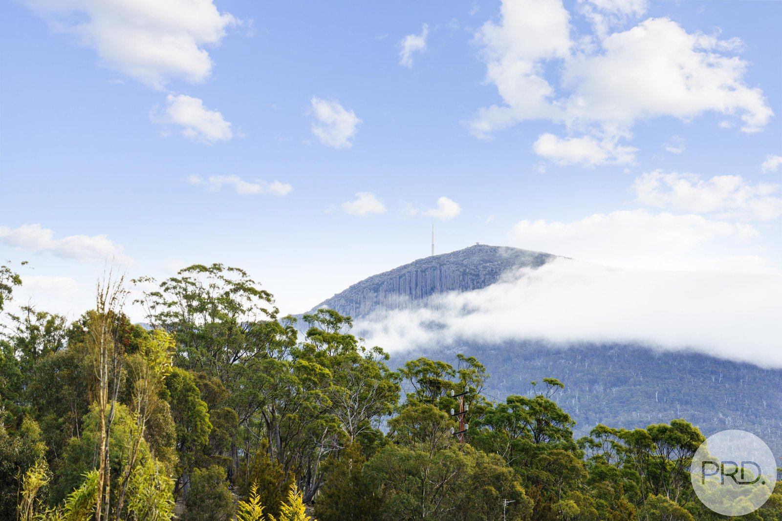 19 Copley Road LENAH VALLEY 10